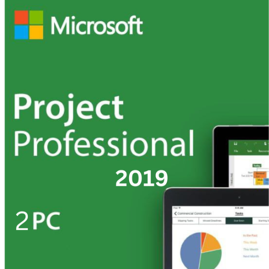 Project 2019 Professional 2PC [Retail Online]