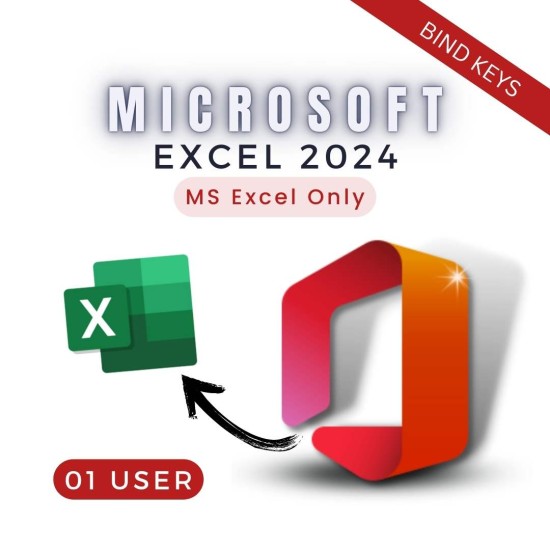 Excel 2024 1 User [Bind]