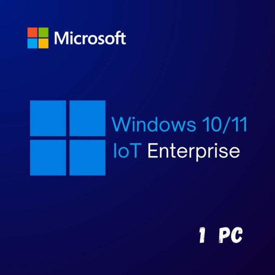 Windows 10/11 IoT Enterprise 1PC